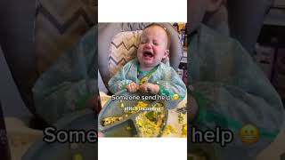 Baby and toddler mealtimes 🤝 bamboo bamboo plates that don’t budge 🤍 | #blw #toddlermeals #babyfood