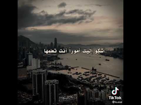 يا رب يا أملي في كل نائبة الشيخ مبروك زيد الخير