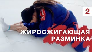 Мастер-класс по джиу-джитсу: Разминка перед тренировкой.