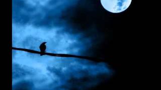 Surah Al Qamar سورة القمر الشيخ نبيل الرفاعى