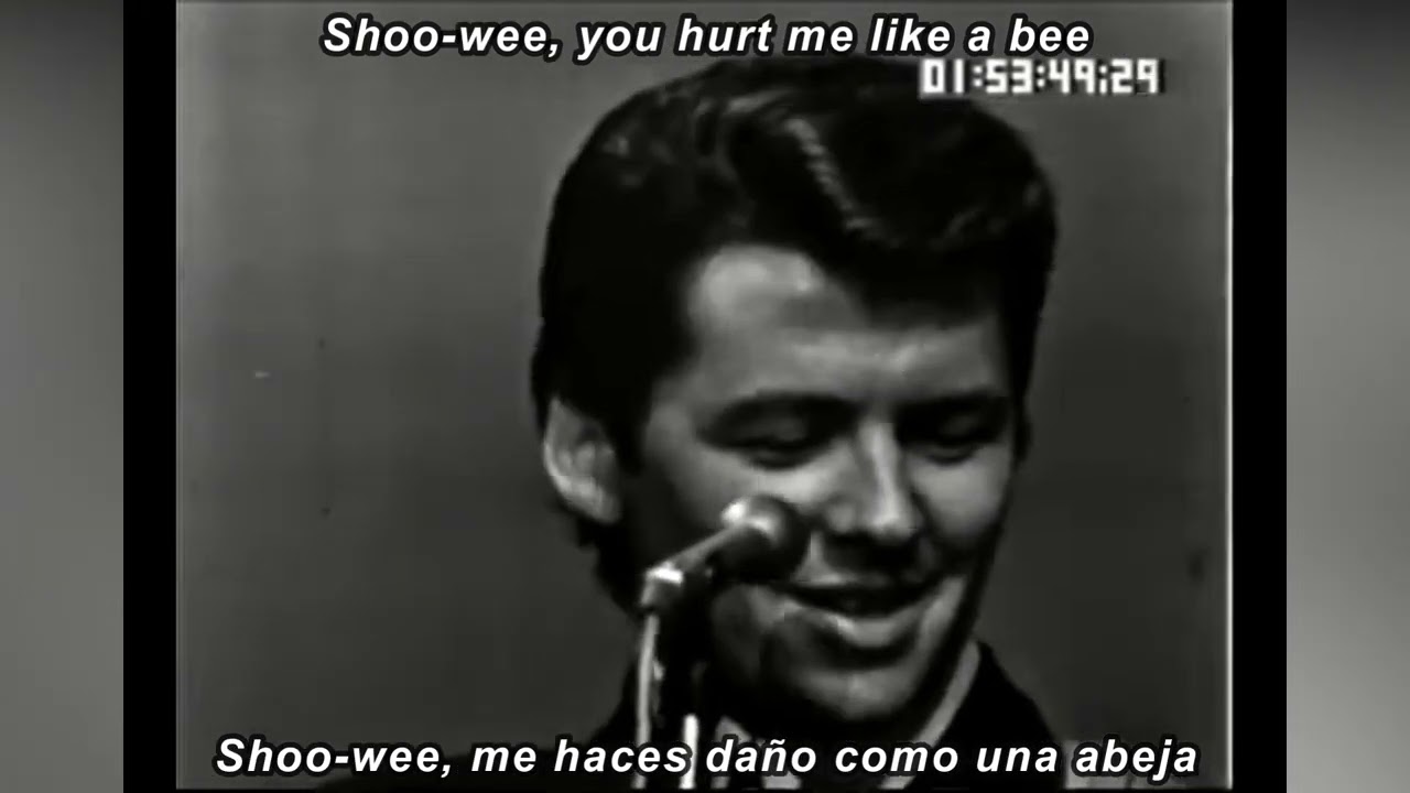 the-searchers-bumble-bee-subtitulada-en-espa-ol-lyrics-youtube