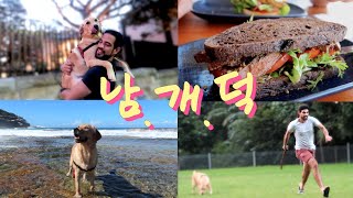 🇦🇺한영 국제커플's 남의 집 개 