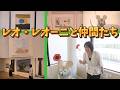絵本・スイミ― 作者の魅力に迫る!~レオ・レオーニと仲間たち~ 高知県立美術館