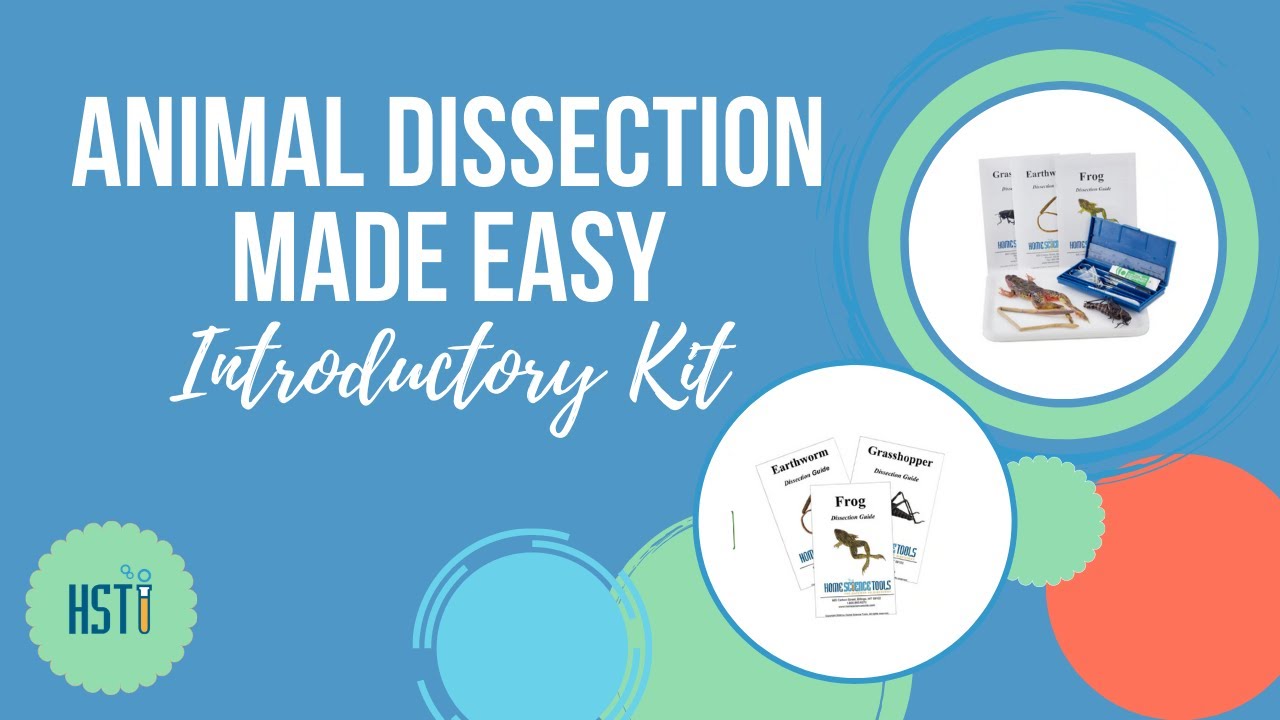 Homeschool Science Animal Dissection Made Easy YouTube