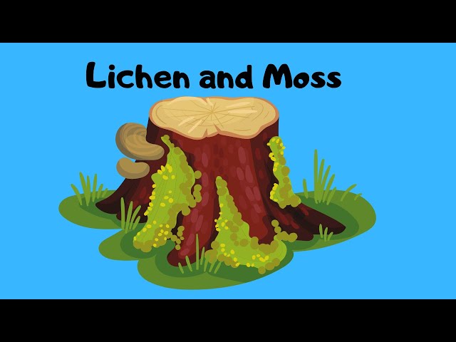 The Hidden Superpowers of Moss 