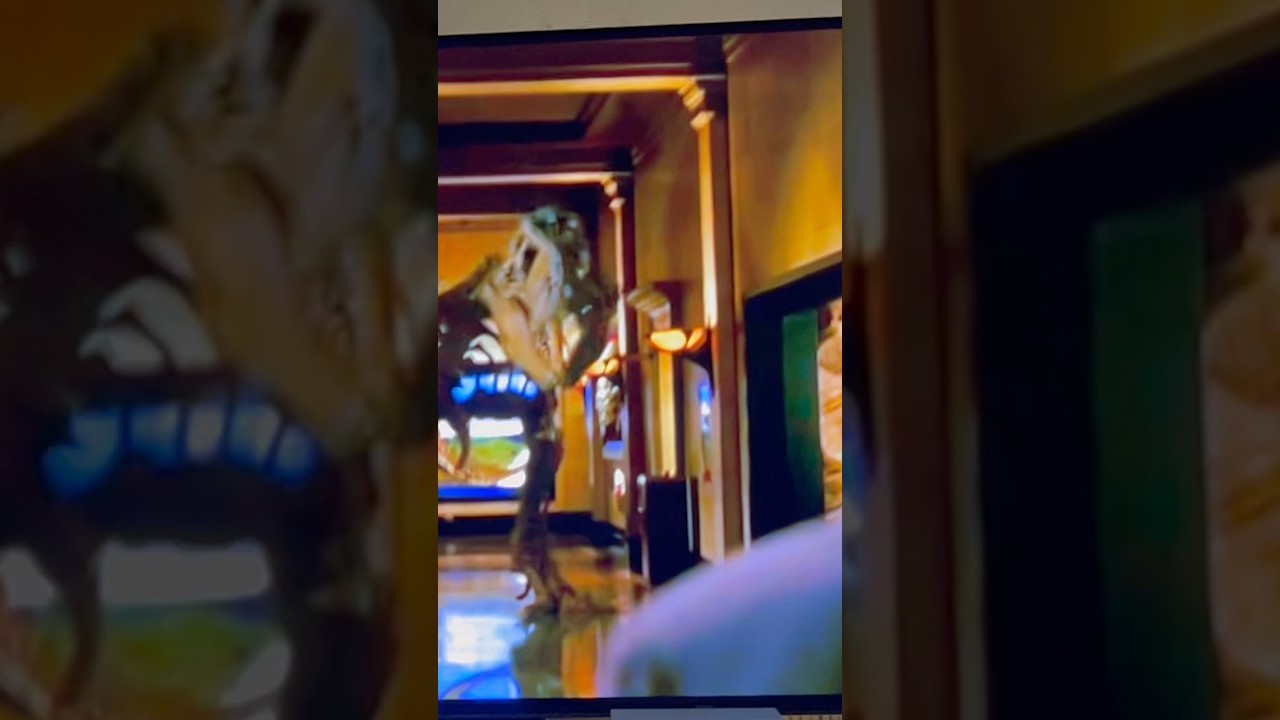 ⭐️ Nachts im Museum 