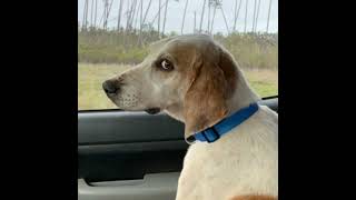 O.j.c - Nobody Mitski Jersey Mix