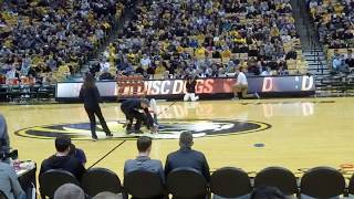 KC Disc Dogs @ Mizzou Jan 17, 2018