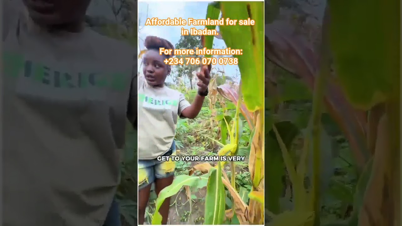 Affordable Farmland for sale in Ibadan. 