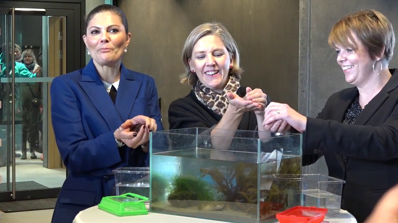 Här inviger kronprinsessan Malmös marina center - YouTube