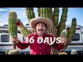 The Mysterious Journey of The Spaghetti Cactus 🌵