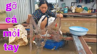 Download Lagu Thời Sư Mẫu Tới Rồi Thăm Lưới Trúng Bầy Cá Sác Bự Bự Quá Đã # SĂN BẮT ĐỒNG THÁP # MP3 Download Lagu Thời Sư Mẫu Tới Rồi Thăm Lưới Trúng Bầy Cá Sác Bự Bự Quá Đã # SĂN BẮT ĐỒNG THÁP # MP3