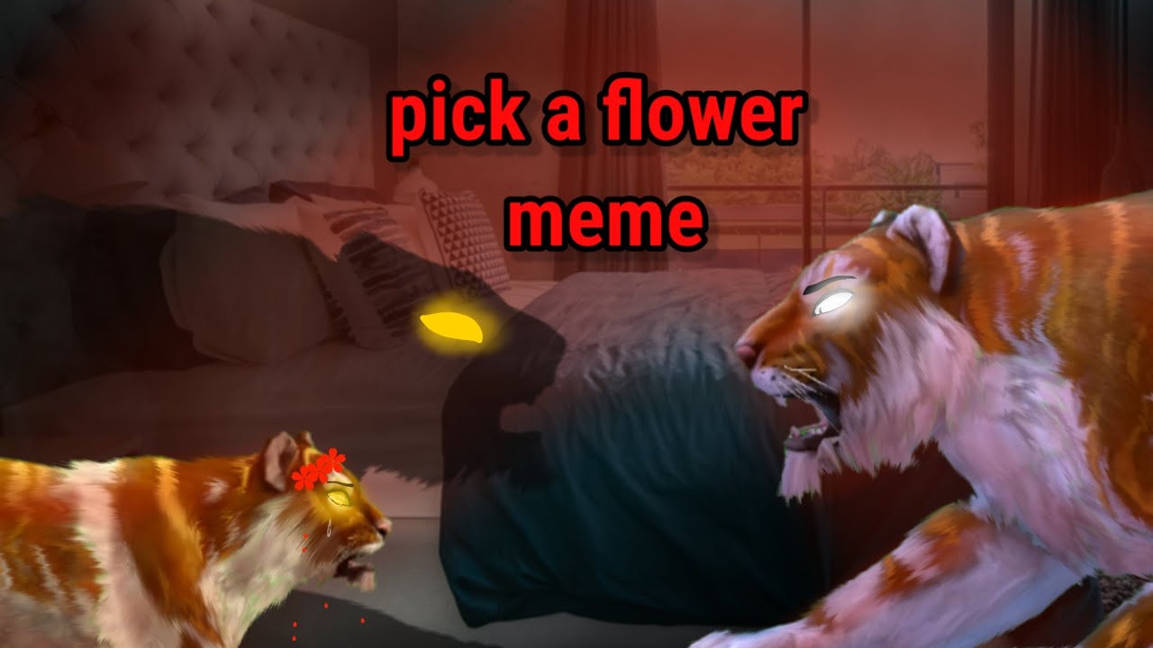 Pick a flower meme_wildcraft YouTube