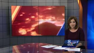York County family forced from cabin because of Tennessee wildfires