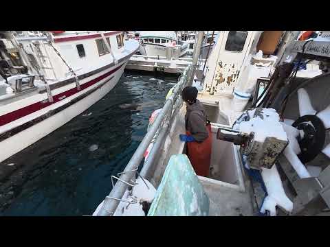 End of Season Clean up on the Fish Tale!