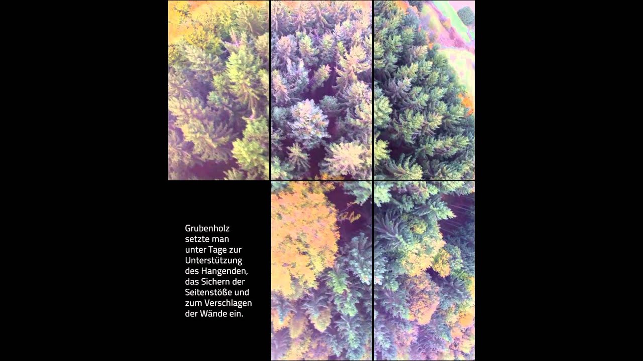 Saarland Kohlenwald - Schwarz und Grün