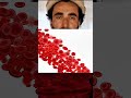 The Incredible Journey of a Red Blood Cell