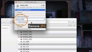Movecopy Only Files From One Folders Incl. Subfolders To Another Free On Mac
