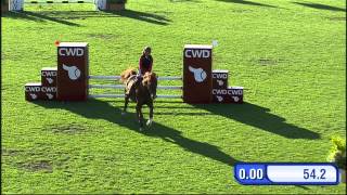 Pascaline Dalsème Et Hyper Debcrevon La Baule Csio 2012 Handisport