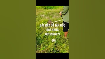 Bát rẫy cỏ tận gốc lắp cho máy phát cỏ quá nhàn