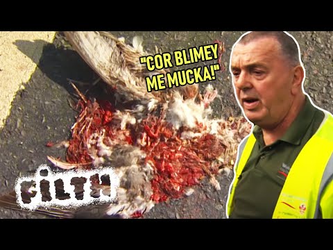 Litter Picker Lew Cleans Up Roadkill | FULL EPISODE | Grimefighters | Episode 30 documentary thumbnail