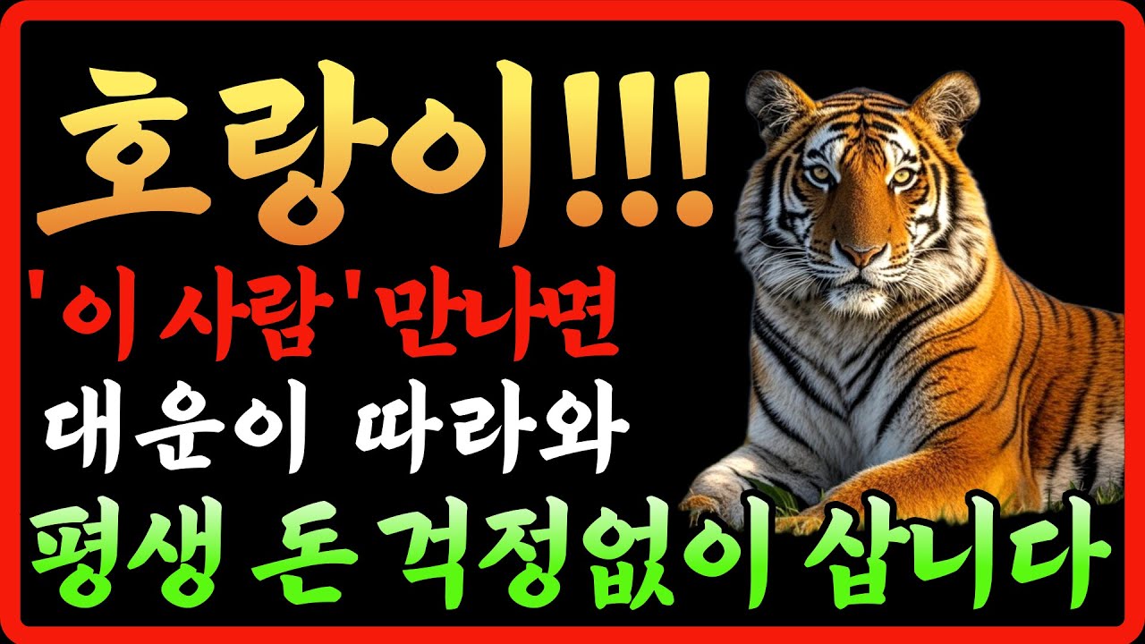 [호랑이띠 대운 주목] 2026년 범띠 이사람 만나면 대운이 따라와 평생 돈 걱정없이 삽니다 50년생 62년생 74년생 86년생 98년생 