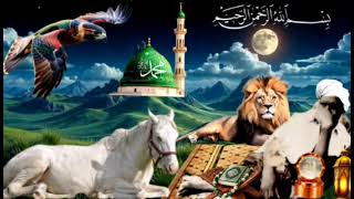 QASIIDO AWLIYALLAH ADEEG SAN ABDI AADAN QAYS SHEEKH CUMAR YUSUF RC 2026