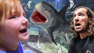 SWiMMING with SHARKS!!  Adley \& Niko feed animals \& swim underwater inside a stingray pool! zoo day