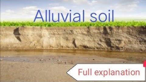 Alluvial soil || Types of soil || Full explanation||PT-1||@geo2293