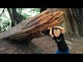 Stout Grove and Glass Beach Vacation Vlog