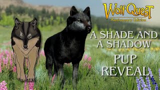 Pup Revealing Time! | A Shade and A Shadow |