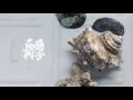 ナツノムジナ - 艀 / natsunomujina - Hashike(Official Video)