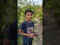 Bengla comedy video #comedy #faltuboys #comedyfilms #funny #faltucomedy #comedymovies #fun #faltuboy