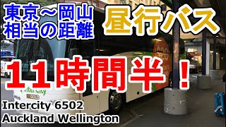 【AW#5前編】11時間の昼行バス！ ニュージーランドの高速バスは苦行 Intercity Wellington - Auckland