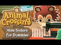 Able Sisters for Dummies | Animal Crossing New Horizons