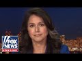 Tulsi Gabbard: Lawmakers are undermining the foundation our country was built on