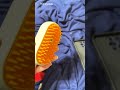 Your Cat Won't Say No Anymore! 🐱✨The pet grooming brush every furry friend #temu #cute