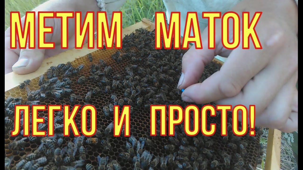 Как пометить спойлер