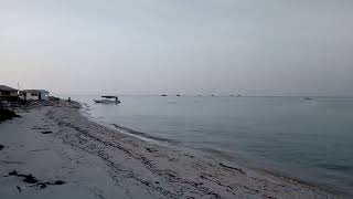 جزيرة حبار أمام مدينة جيزان