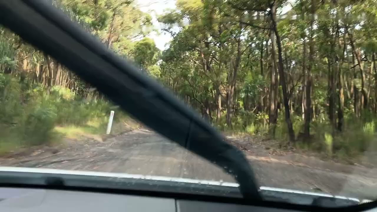 Canadian forest Victoria part 1 ,4x4 drive