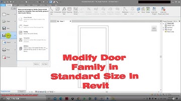 Modify Door Family in Standard Size In Revit