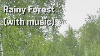 Rainy Forest (with music) #nature #soundscape #calmingmusic #rainsounds #rainsoundsforsleeping