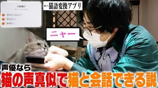 【検証】声優なら猫の声真似で猫と会話できる説