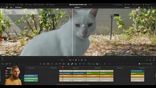 DaVinci Resolve 21: Is the New MainConcept Encoder Worth It?