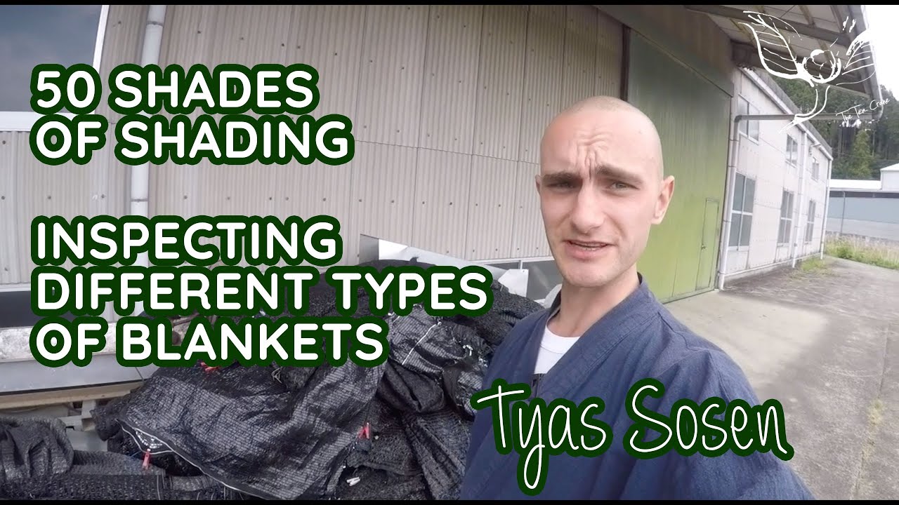 Shading methods | Different kinds of cheesecloth tea blankets used for shade grown tea production