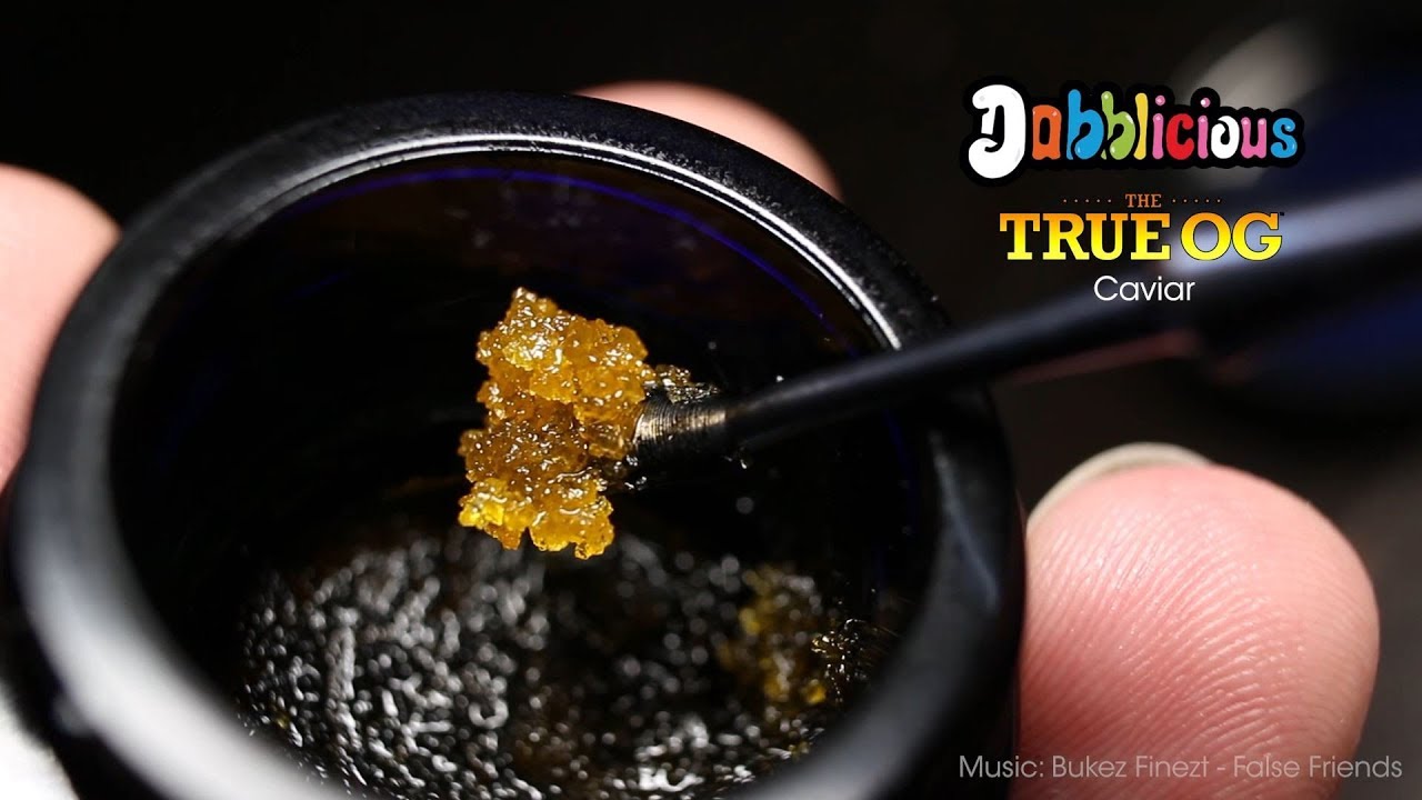 Dabblicious True OG Sauce & Interview: Terpy Tuesday Ep. 54