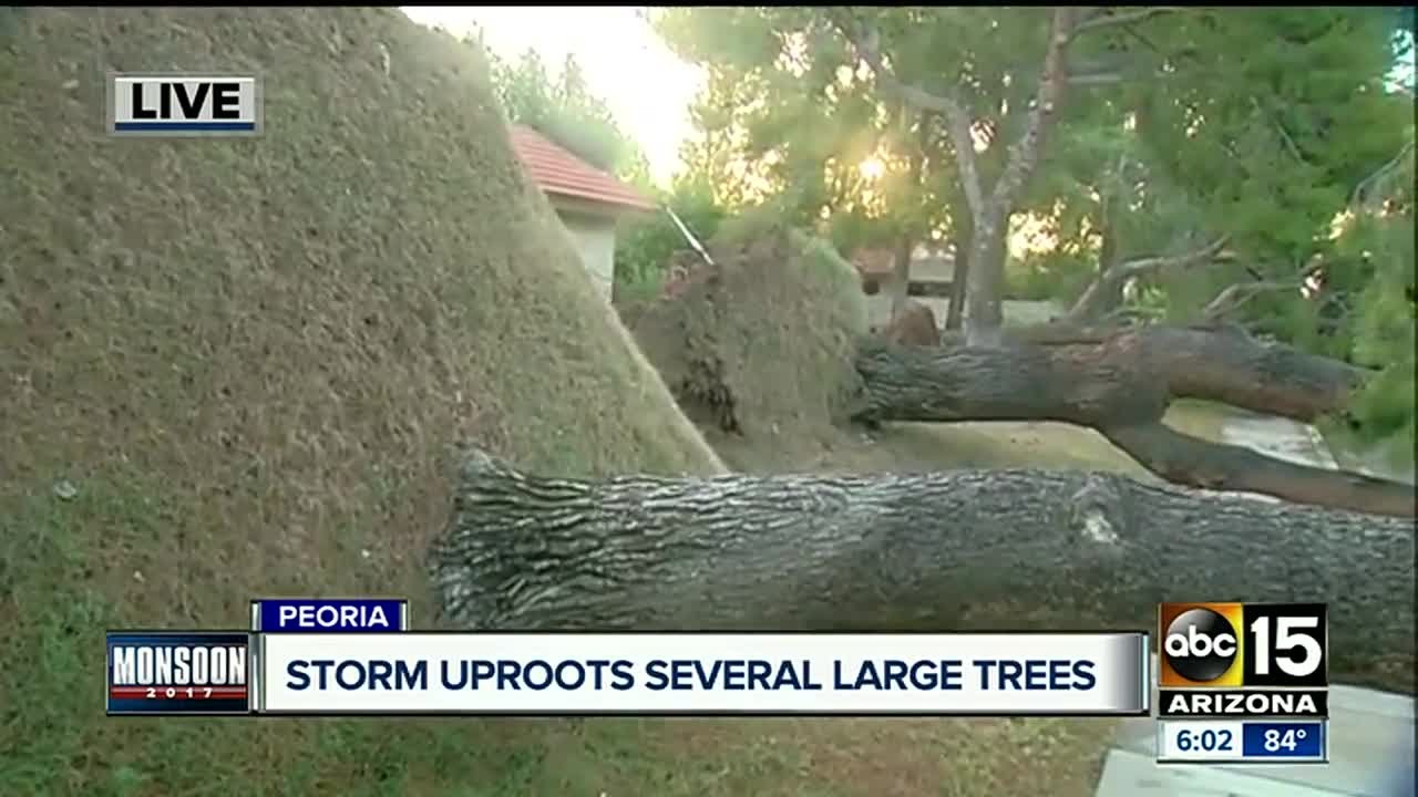 Clean-up underway in Peoria after storm damage - YouTube