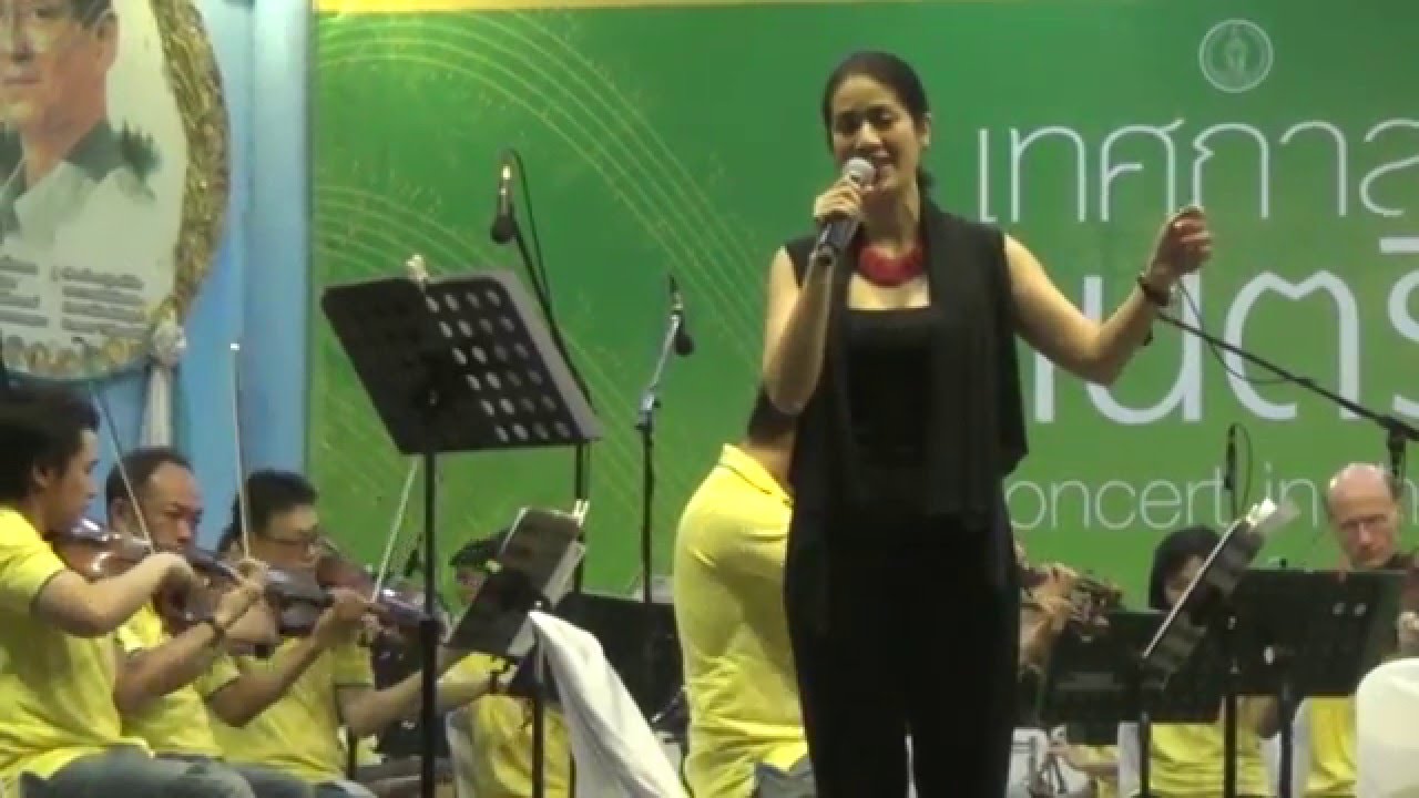 หากเธออยากถาม - ธีรนัยน์ ณ หนองคาย & BSO