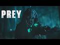 Prey (2022) Movie || Dan Trachtenberg, Patrick Aison || HD Review & Facts