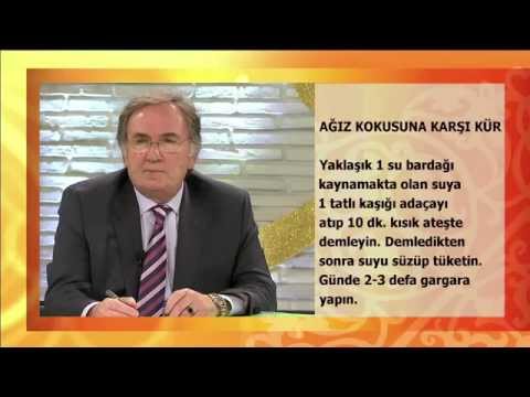 Türkiye Türkçesi Ağızlarının Oluşumu